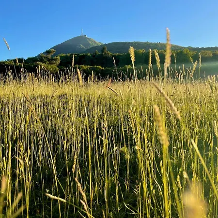 La Stuga, Cocooning Au Coeur Des Volcans Daire Ludesse