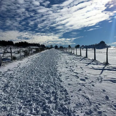 Daire La Stuga, Cocooning Au Coeur Des Volcans Ludesse