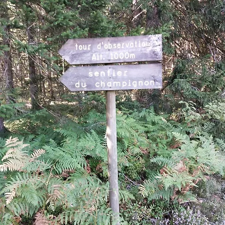 Lejlighed La Stuga, Cocooning Au Coeur Des Volcans